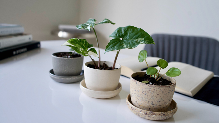Hunar Home Decor course