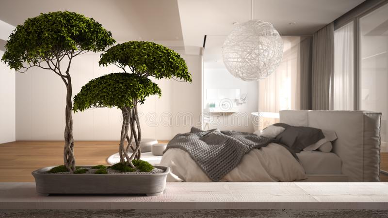 bonsai in bedroom- Hunar Home Decor course bonsai in bedroom- Hunar Home Decor course