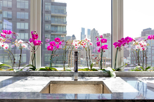 orchids at home orchids at home