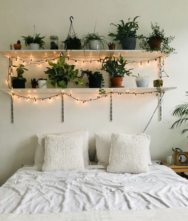 plant decor in white room- Hunar Home Decor course plant decor in white room- Hunar Home Decor course