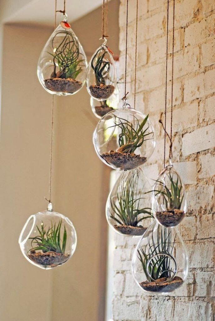 plant decor terrarium