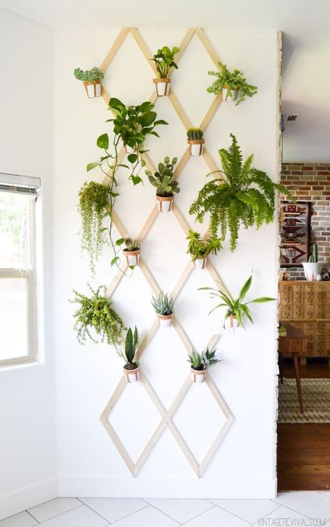 wall-hanging garden in living room