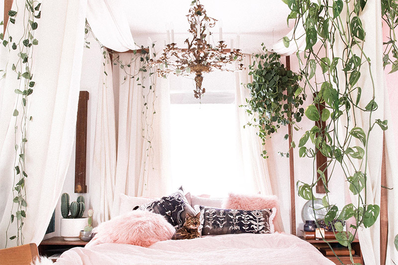 wild plants in bedroom- Hunar Home Decor course wild plants in bedroom- Hunar Home Decor course