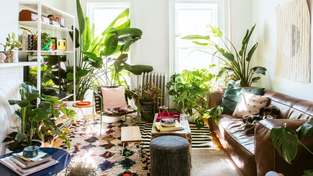 plant decor- Hunar Home Decor course plant decor- Hunar Home Decor course