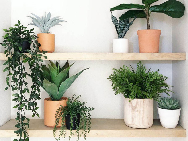 fake plants at home fake plants at home