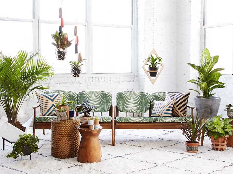 plant interior design for home