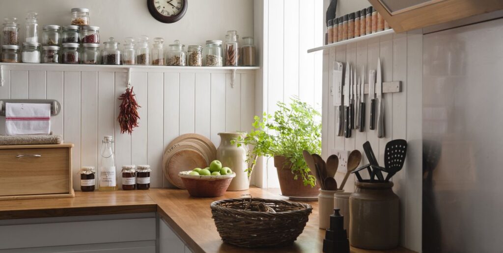 plants in kitchen plants in kitchen