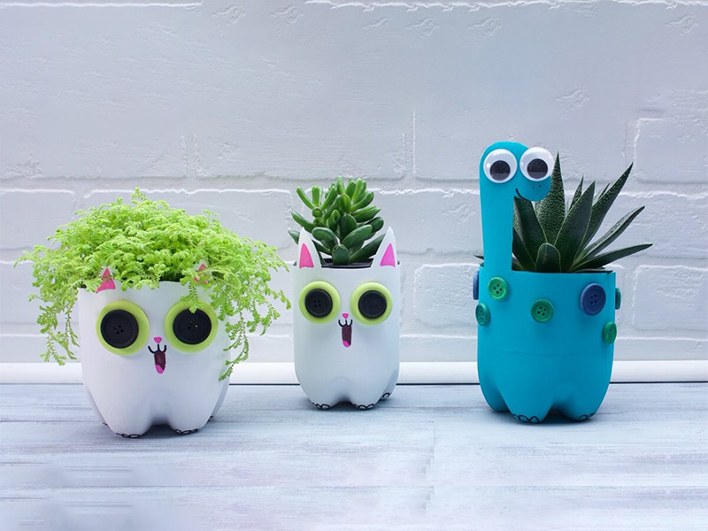 plants in water bottles plants in water bottles